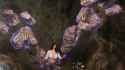 enb2025_7_9_20_19_23-1