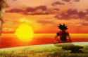 Goku sunset