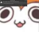 PAISSAEXTRASUPERCLOSE