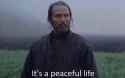 It&#039;s a peaceful life