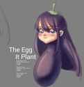 the egg it plant