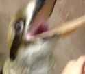 asjghagdhagdajfga