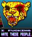 21 KB