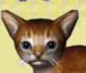 128 KB