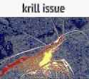 456 KB