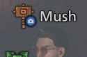34 KB