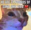 9 KB