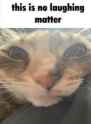 275 KB