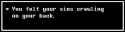 43 KB