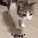 213 KB