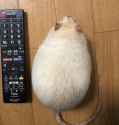 130 KB
