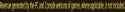 11 KB