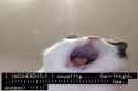 33 KB