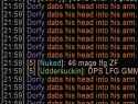 63 KB
