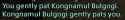 16 KB