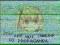 198 KB