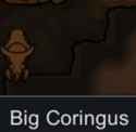 255 KB