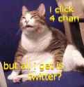 556 KB