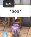 46 KB