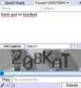 15 KB