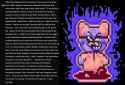 255 KB