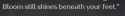 86 KB