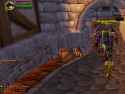 1.6 MB
