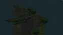 570 KB