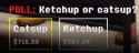 43 KB