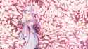 526 KB