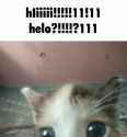 440 KB