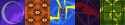 13 KB