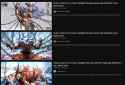 1.19 MB