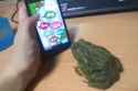 380 KB