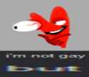 67 KB