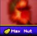29 KB