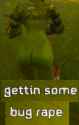 107 KB