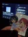 333 KB