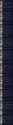 1.65 MB