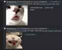149 KB