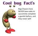 121 KB