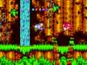 24 KB