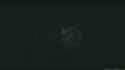 3.82 MB