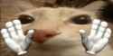 130 KB