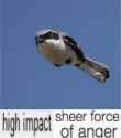 14 KB