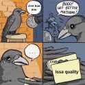 804 KB