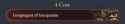 40 KB