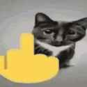 142 KB