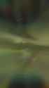 3.34 MB