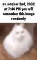 28 KB